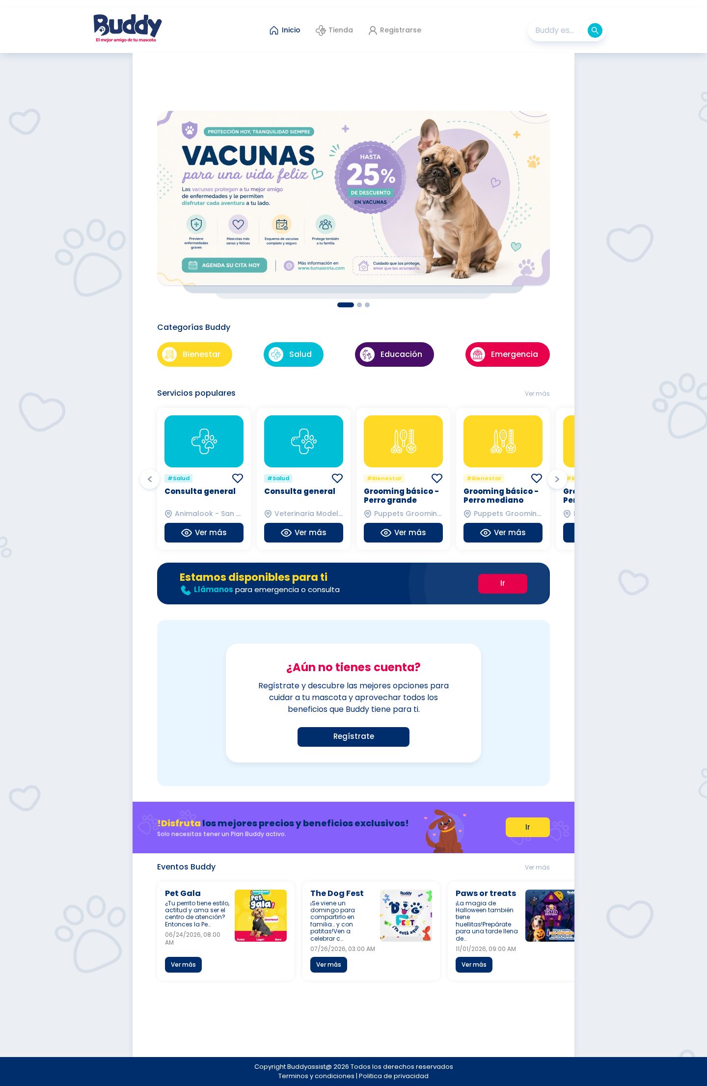 Buddy Assist preview